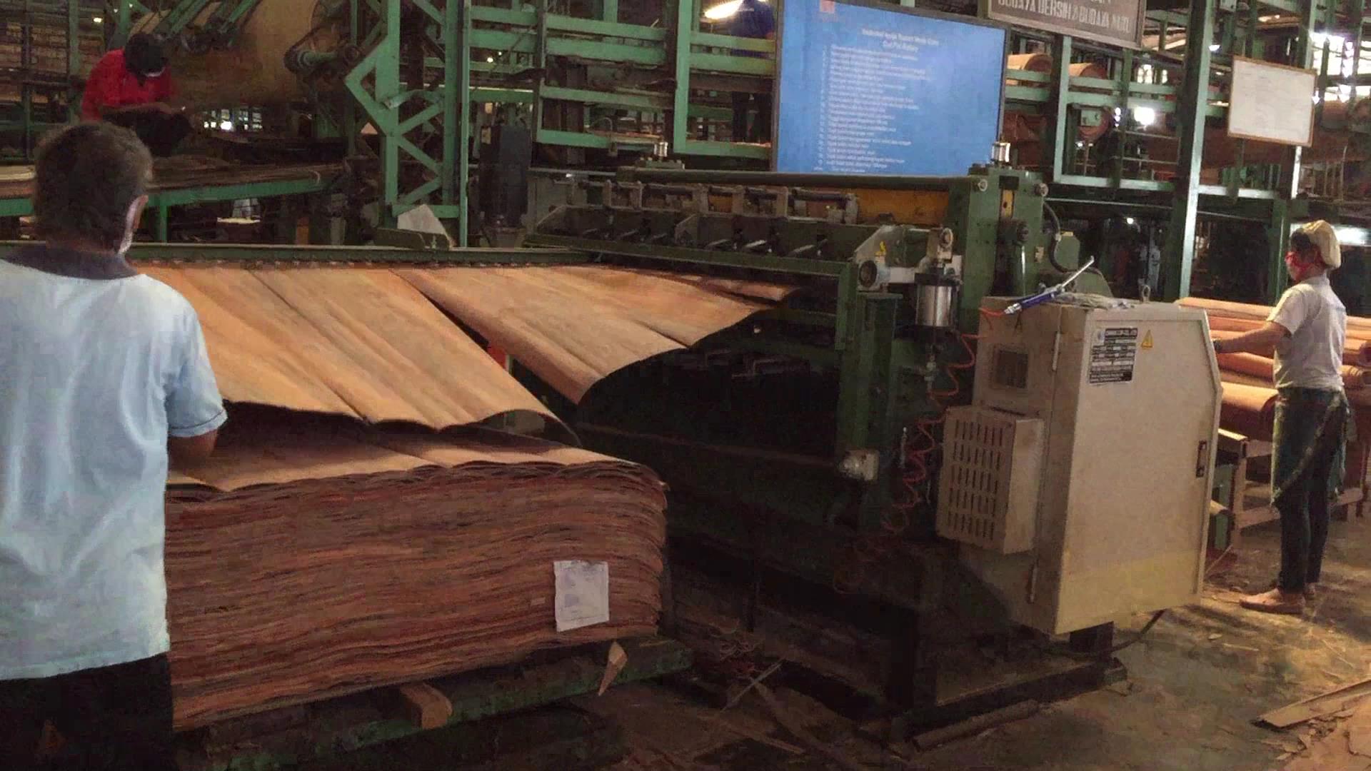 green veneer clipper1