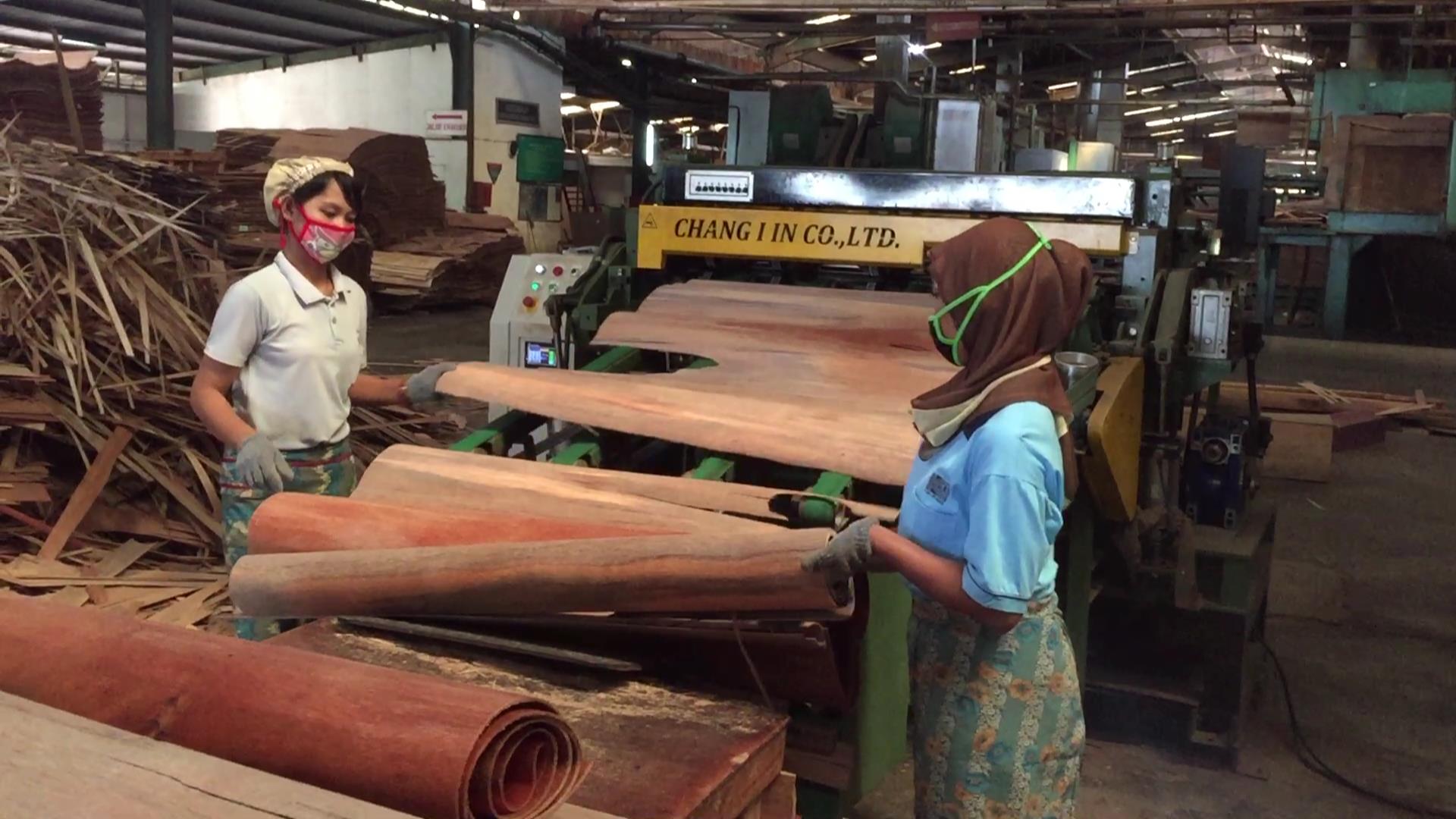 green veneer clipper2