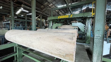2024_plywood_production2.jpg